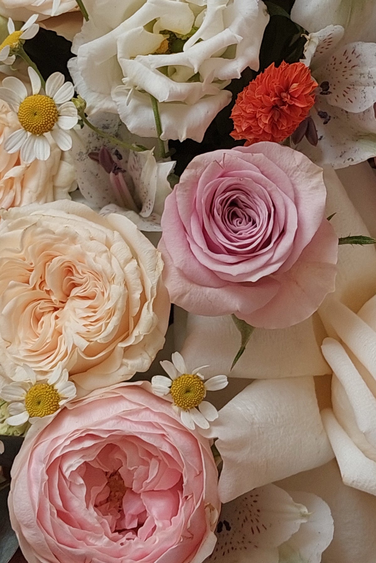 Floral