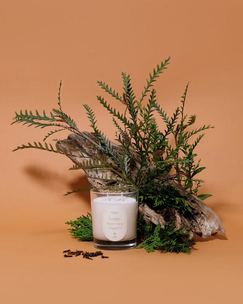 Cèdre provence 220g - MaisonMaison Paris