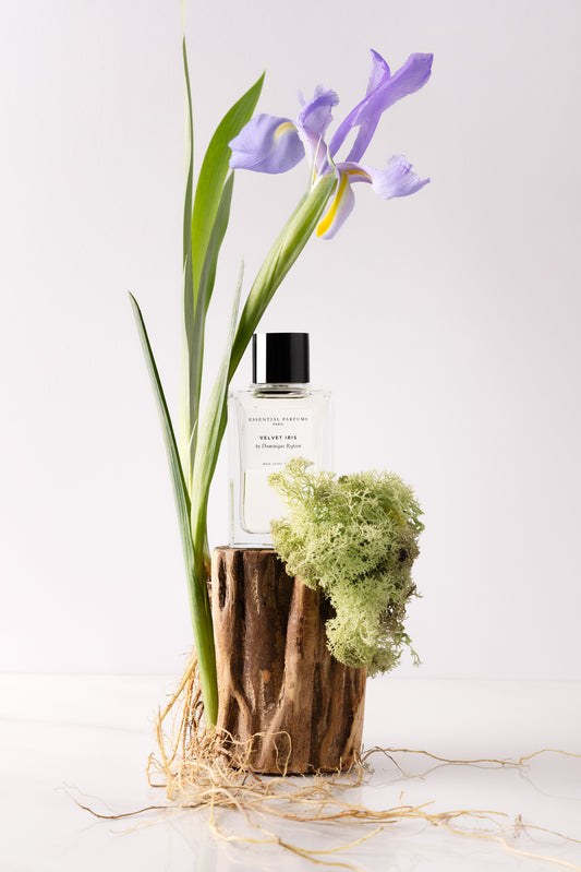 Velvet iris - Essential parfums