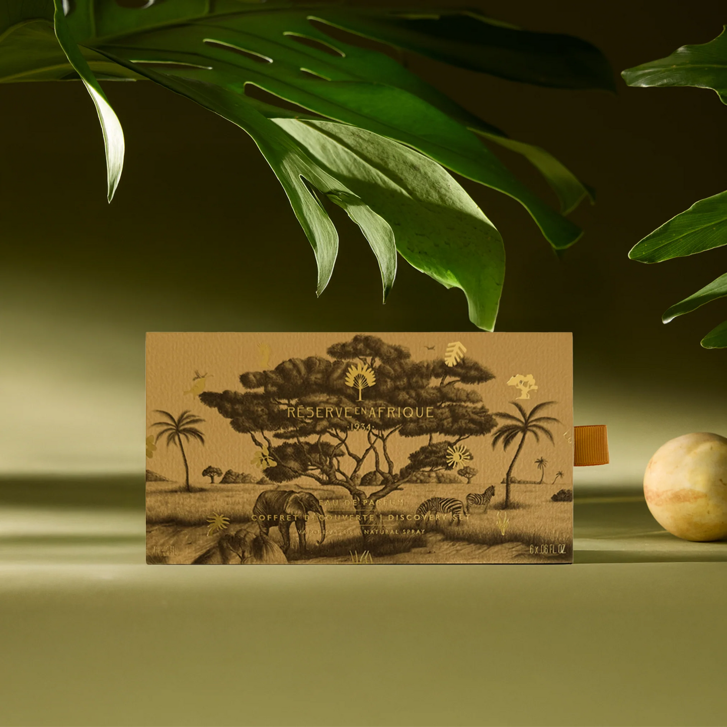 Coffret découverte - Réserve en afrique