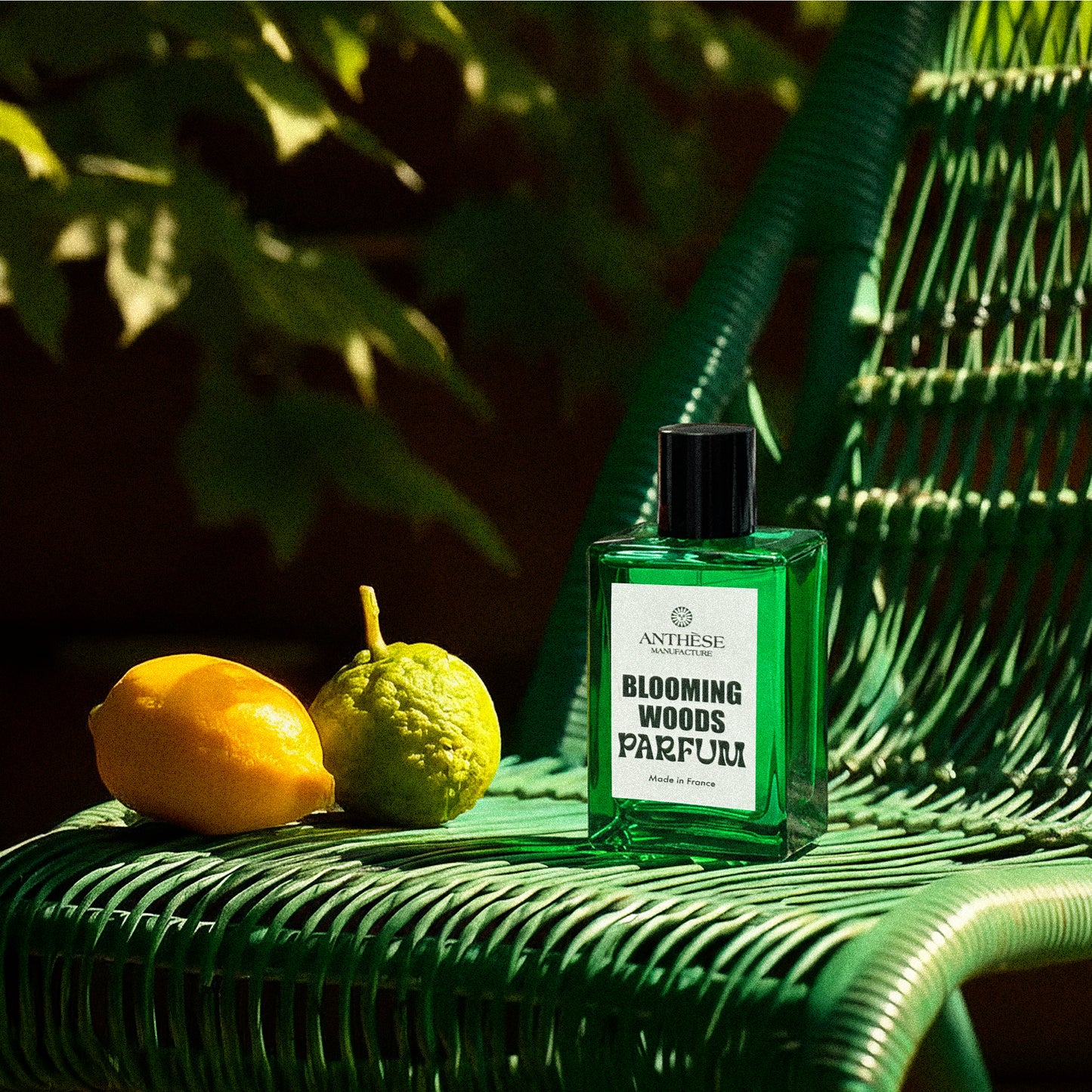 Blooming woods - Anthèse manufacture