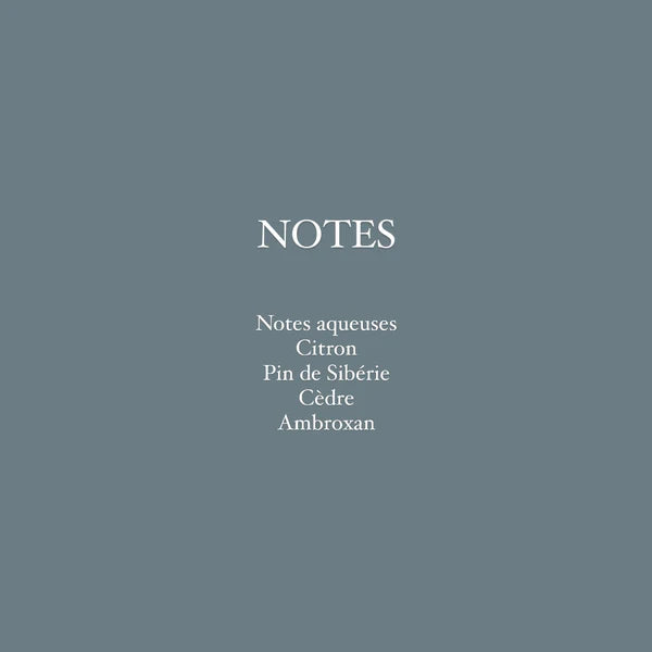 De pins et neige - EIONE