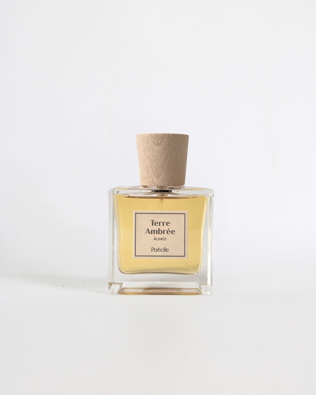 Terre ambrée - Poécile