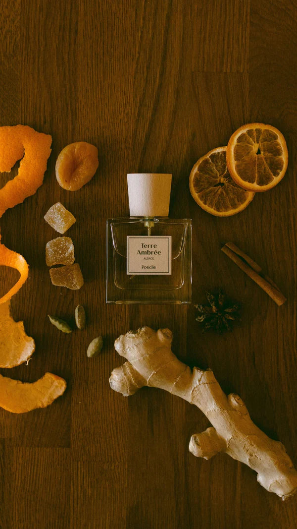 Terre ambrée - Poécile